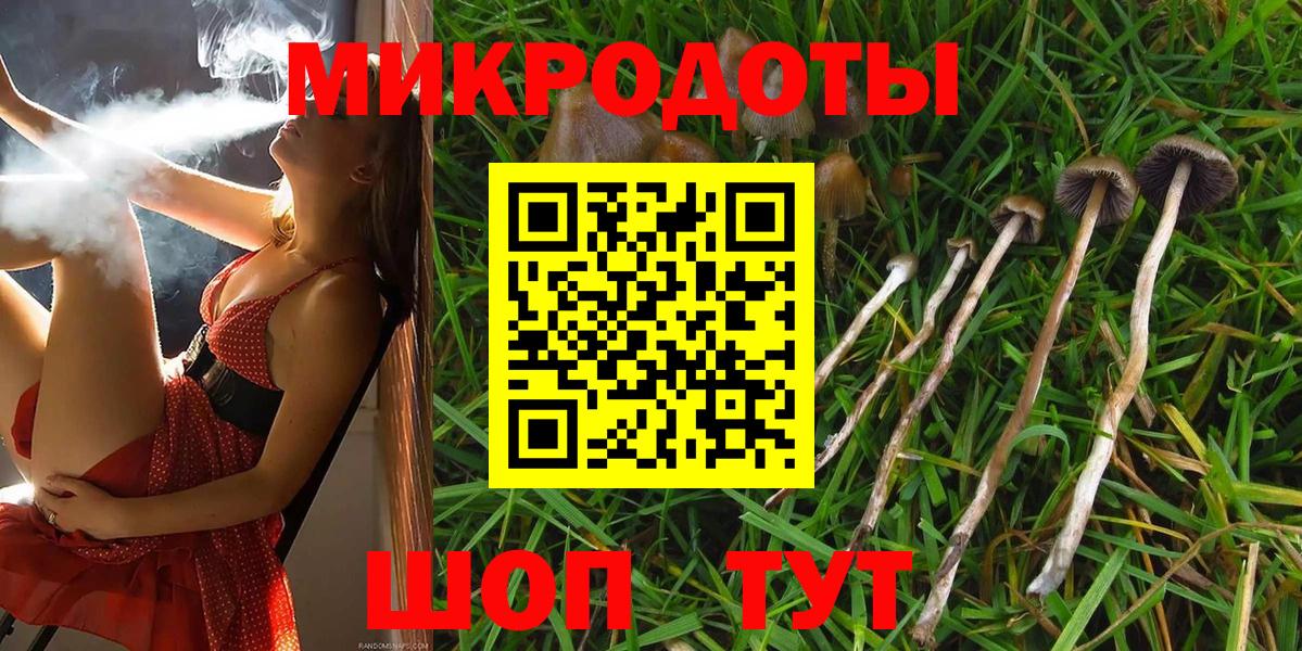 Галлюциногенные грибы Psilocybine cubensis  Вход с VPN  Псилоцибиновые грибы Psilocybine cubensis  Фурманов 
