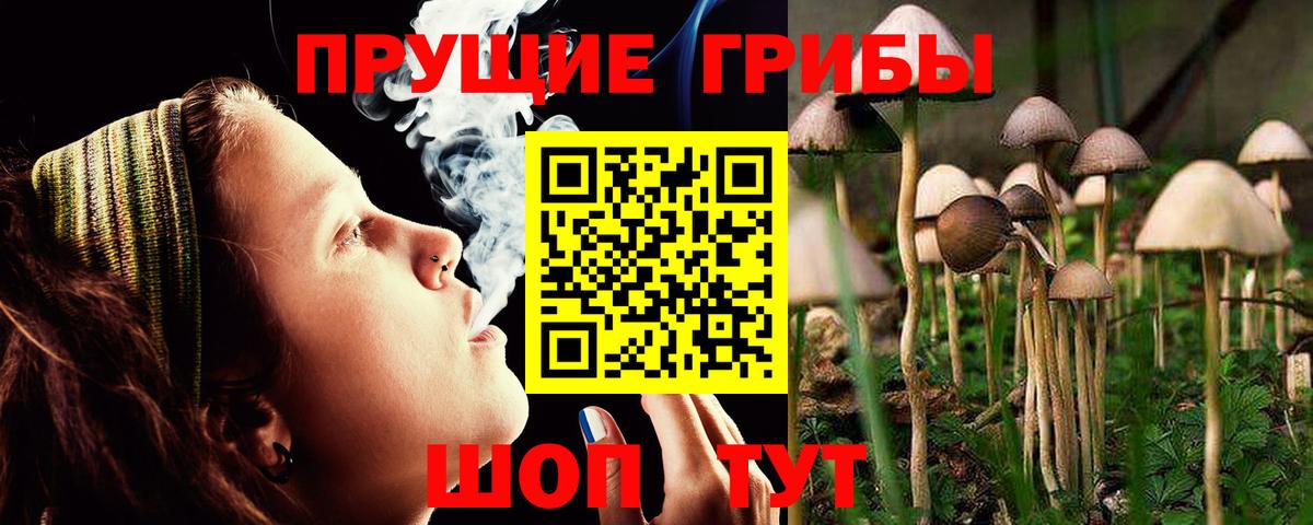 Псилоцибиновые грибы мицелий Фурманов